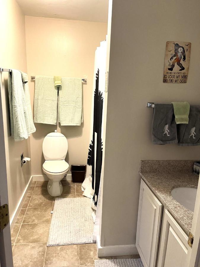 Unique Yeti-Theme Ski On Off Suite Jiminy-Sleeps 4 Hancock Eksteriør billede